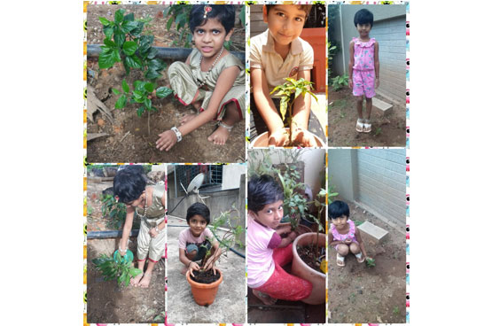 environment_day_kle belagavi