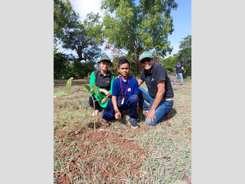 Plantation drive