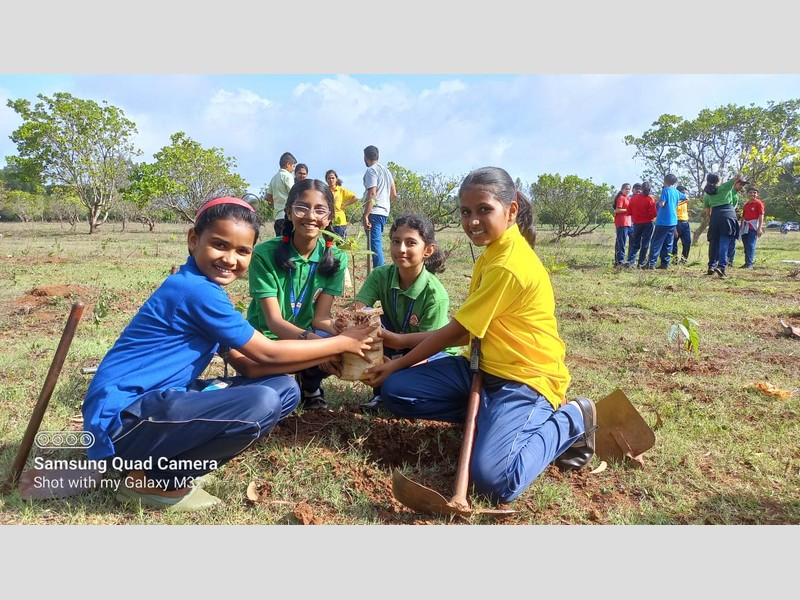 Plantation drive