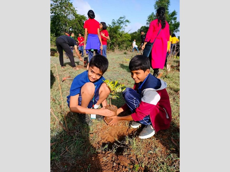 Plantation drive