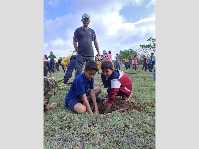 Plantation drive