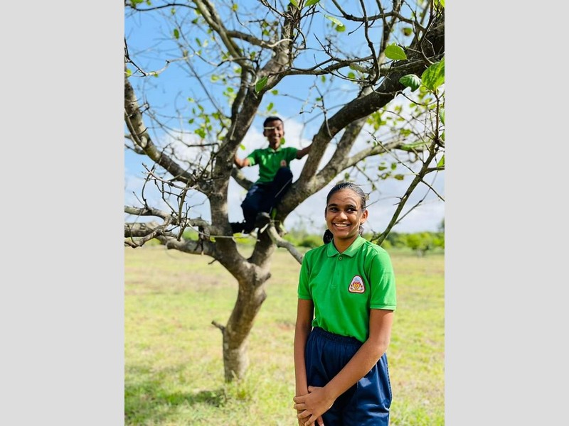 Plantation drive