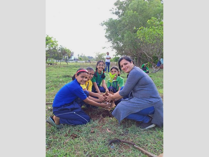 Plantation drive