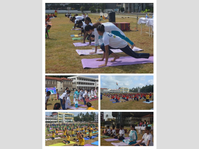 International Yoga Day 2022-23