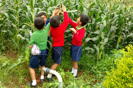 Field Trip to Nursery