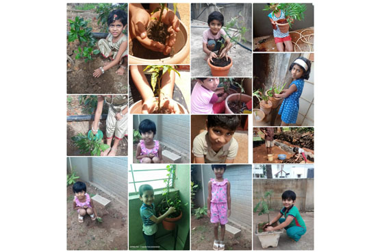 environment_day_kle belagavi