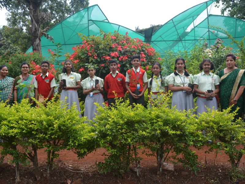 World environment day