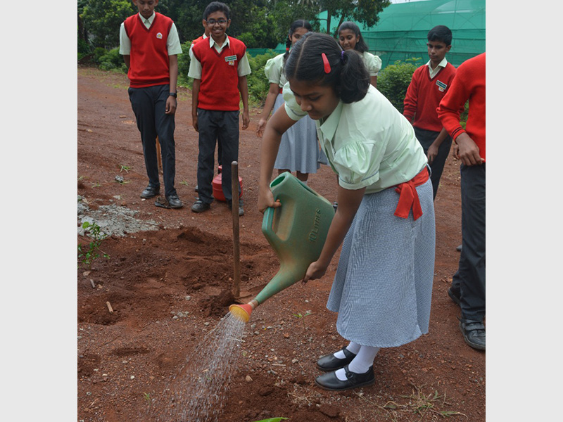 World environment day